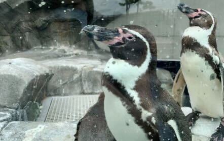 新感覚！見て、聴いて、嗅いで、楽しむ空間