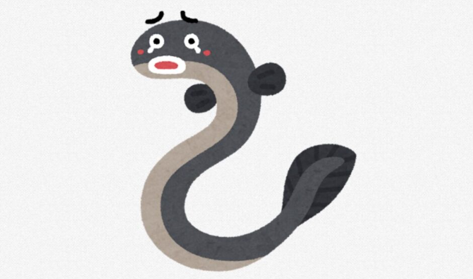 またうなぎ釣りに行ってきました。