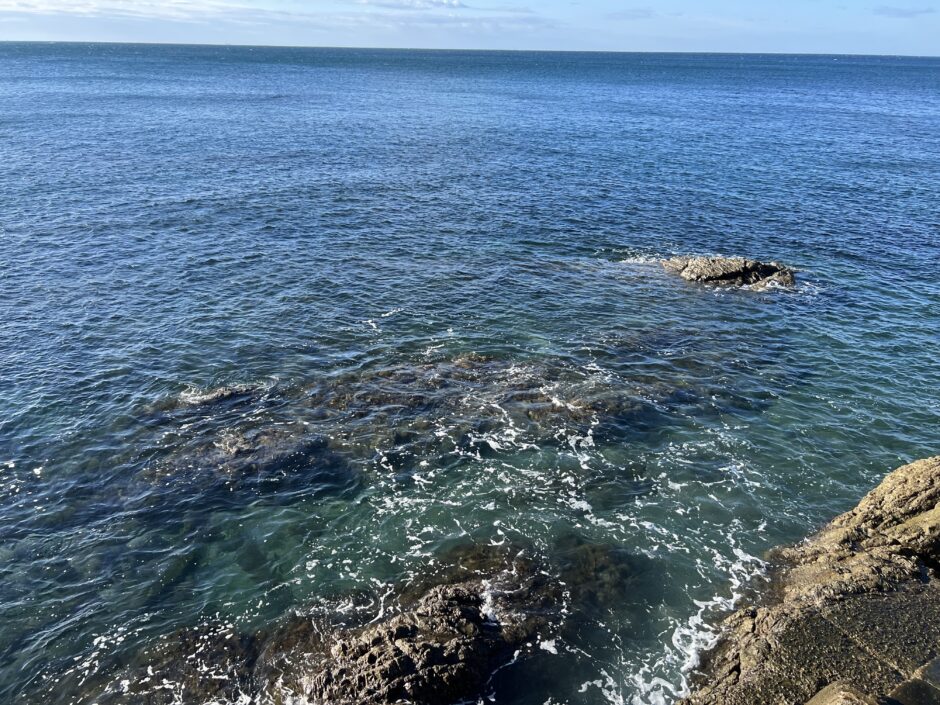 釣りに役立つスマートウォッチ!Garmin Instinct 2 の実力をチェック